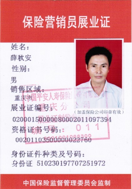 平安保险公司重庆分公司-平安保险公司重庆五