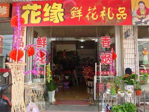 [�綫��Ե�ʻ���Ʒ��]�ۿ�8���Ż�ȯ