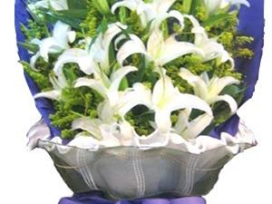 黑马王鲜花礼品店