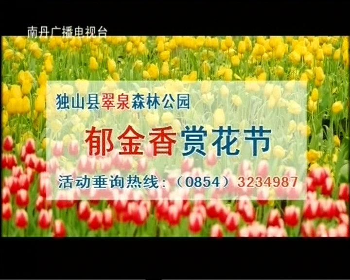 独山等你来歌谱