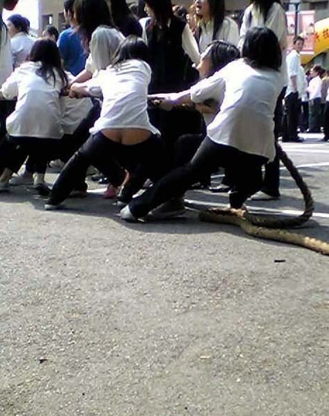 性感紧身<em>低腰</em>裤<em>美眉</em>全搜集论坛<em>图片</em>_双辽论坛