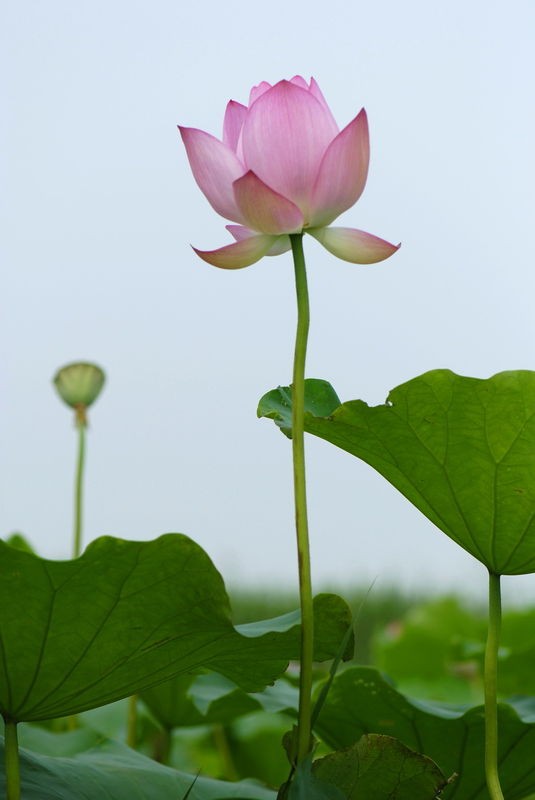 20110525193904422.jpg