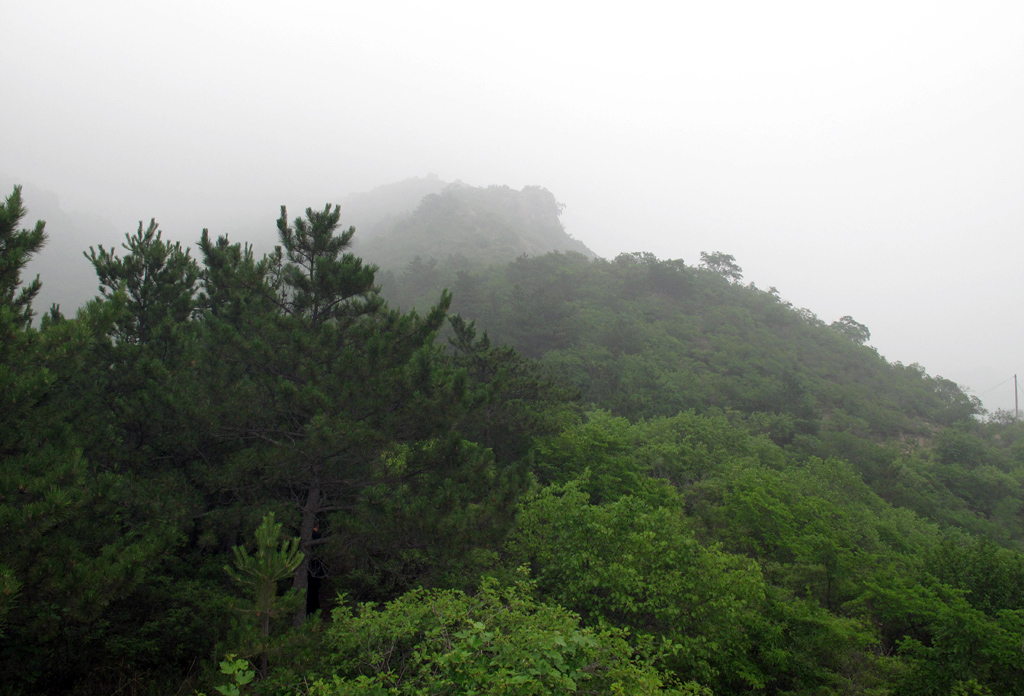 雾行金花山