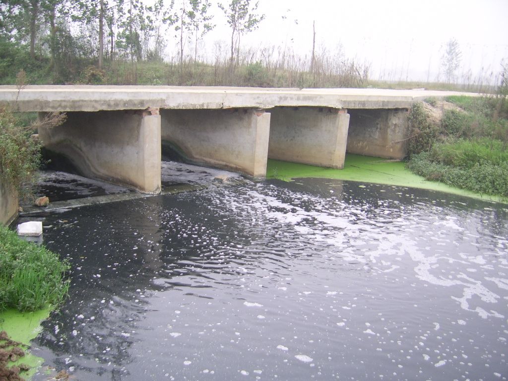 [原创]小潢河,您还能作为饮水源吗? _潢川城事_潢川论坛_潢川在线