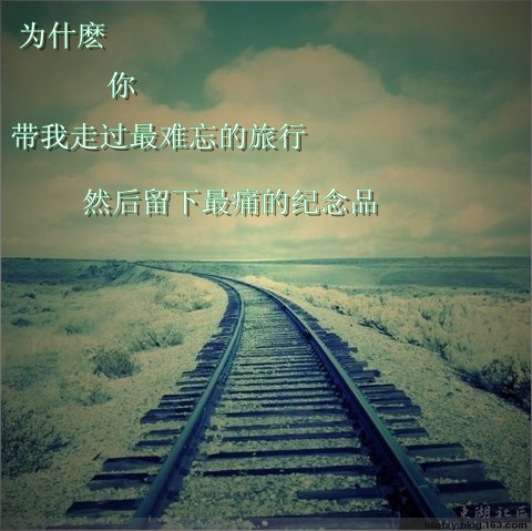 20110801153416556.jpg
