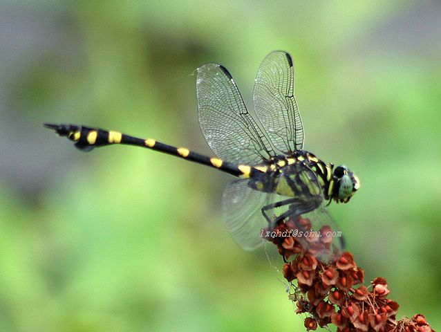 农村の风景论坛图片_镇雄论坛