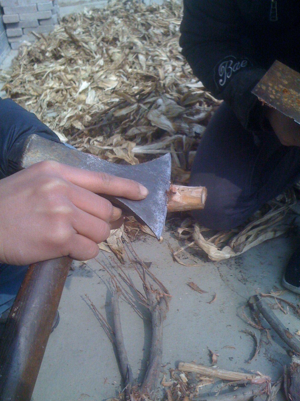 20120218110900226.jpg