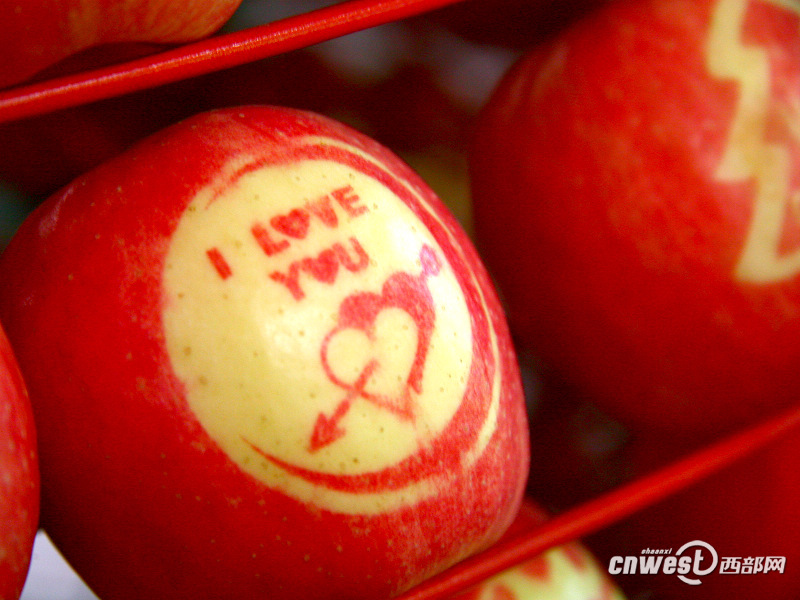 苹果美图论坛图片_万荣论坛