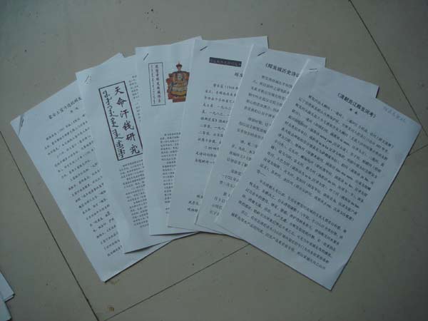 收入证明_农村收入来源怎么填(3)