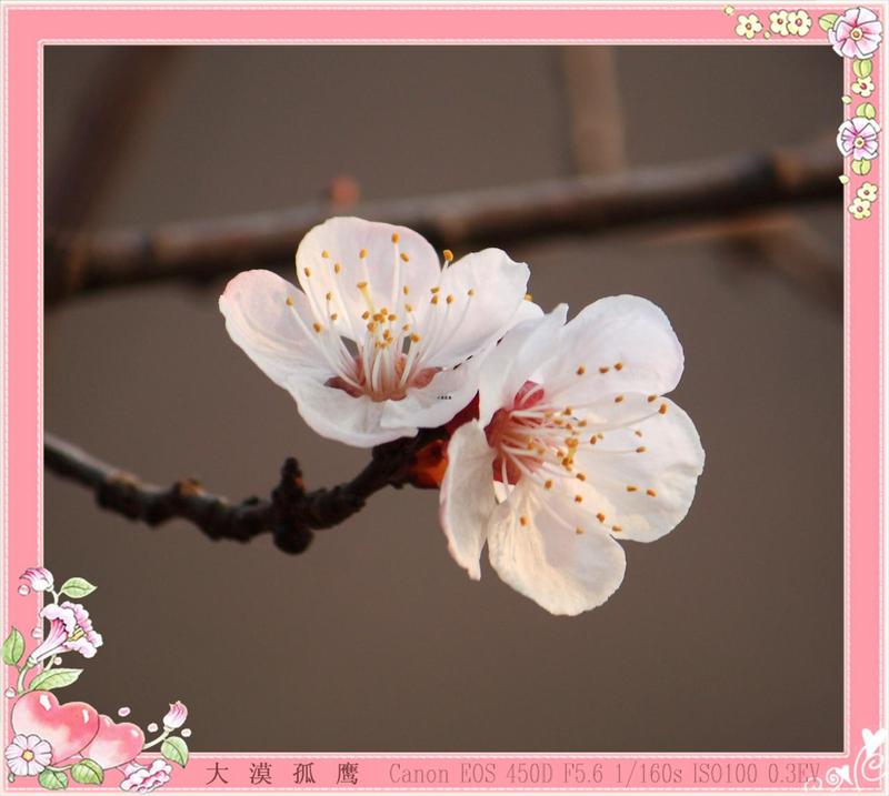 灌云县 _旅游景点_连云港在线