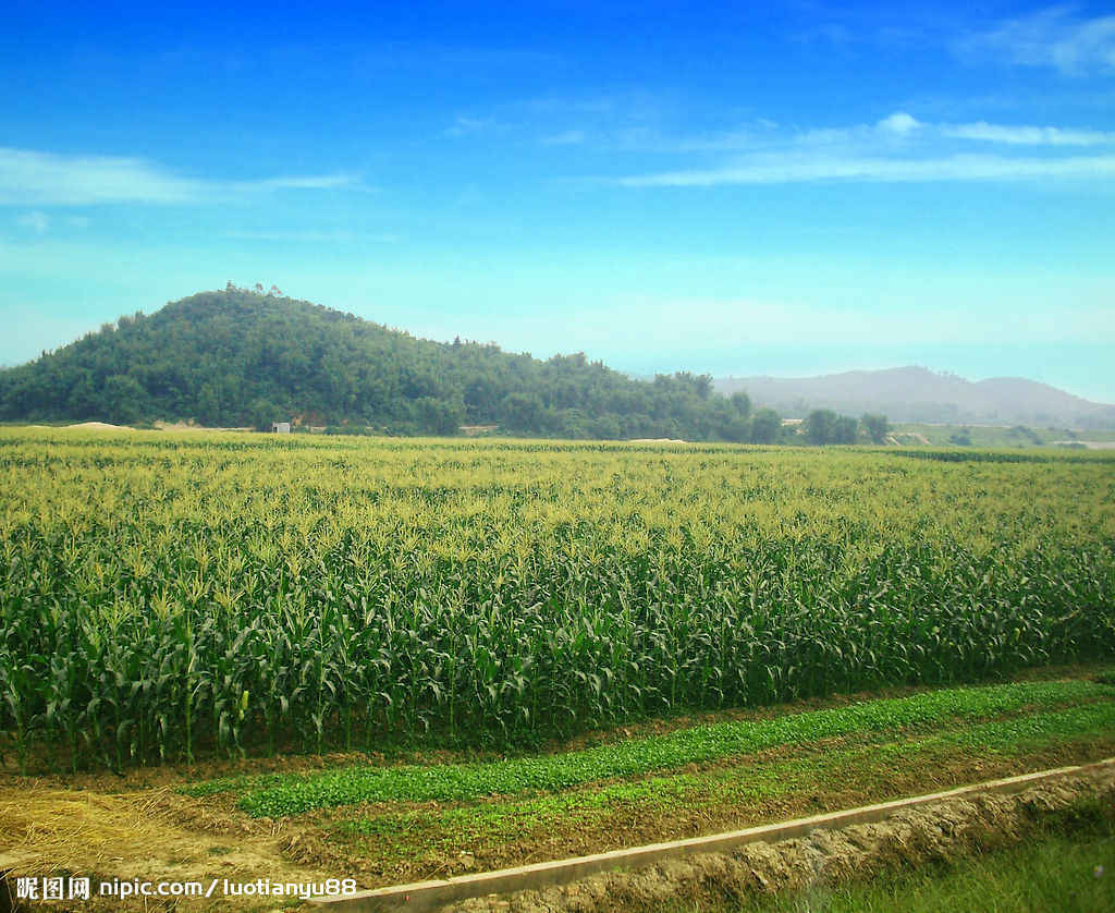 <em>妹冢镇</em> _辖区导航_<em>莘县</em>在线