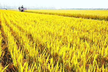 原阳概况|人口|自然资源|地理气候_原阳本地通