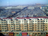 肇州本地通|肇州百科|肇州城市信息大全_肇州网