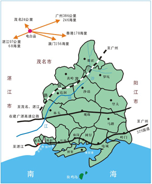 电白基本情况