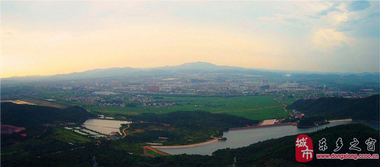 东乡县农业产业特色鲜明。东乡县拥有2个万亩农业高产示范区,2013年全县粮食总产量达31万吨。东乡是全国瘦肉型猪出口重点县和生猪养殖国家农业标准化示范区,2013年生猪饲养量、出栏数分别达205万头、130万头。东乡是全国东桑西移基地县,全县蚕桑面积4.2万亩。东乡大力发展木薯产业,全县种植木薯6万亩,利用木薯生产的变形淀粉产销量居江西省首位,约占全国30%;利用木薯生产非粮生物燃料的中国石化10万吨/年燃料乙醇项目2014年1月已获国家发改委核准。