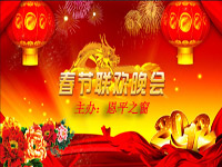 ��ƽ֮������2012��ӭ������������