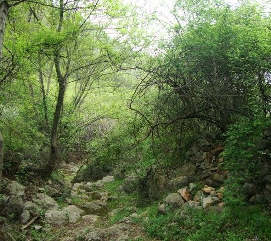 ���ְ׹�����̶�����ι�������Լ��