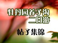 平舆在线组团洛阳牡丹园养子沟二日游