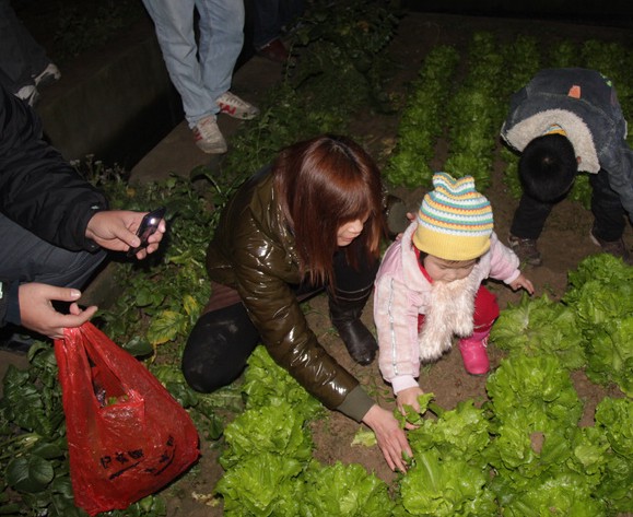 博白文化|名人|作品_博白本地通_博白生活网