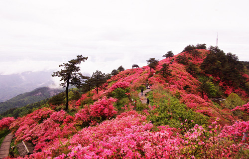 黄冈麻城旅游指南