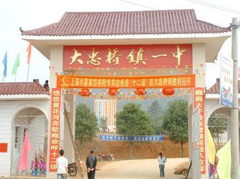 祁阳大忠桥镇