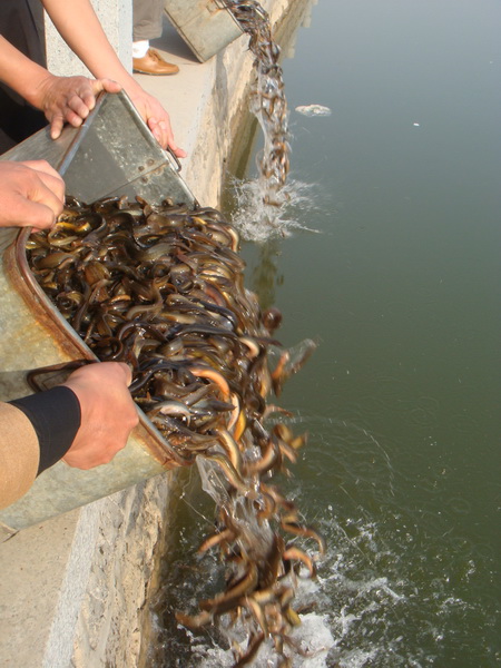2009102621482943.JPG
