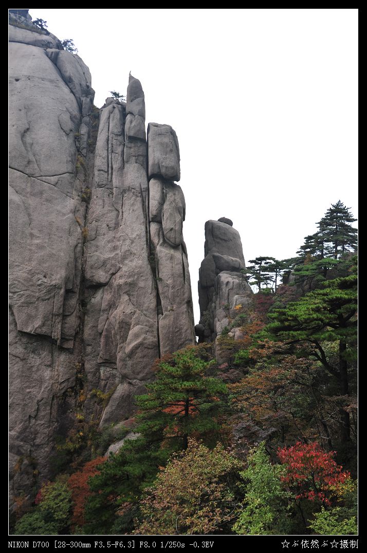 镜头下的晴日黄山奇松怪石