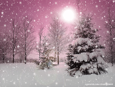 美焕绝伦的圣诞雪景 提前祝大家圣诞节快乐