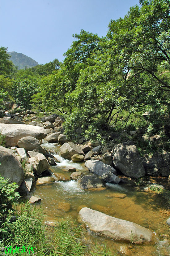 20097228463135.jpg