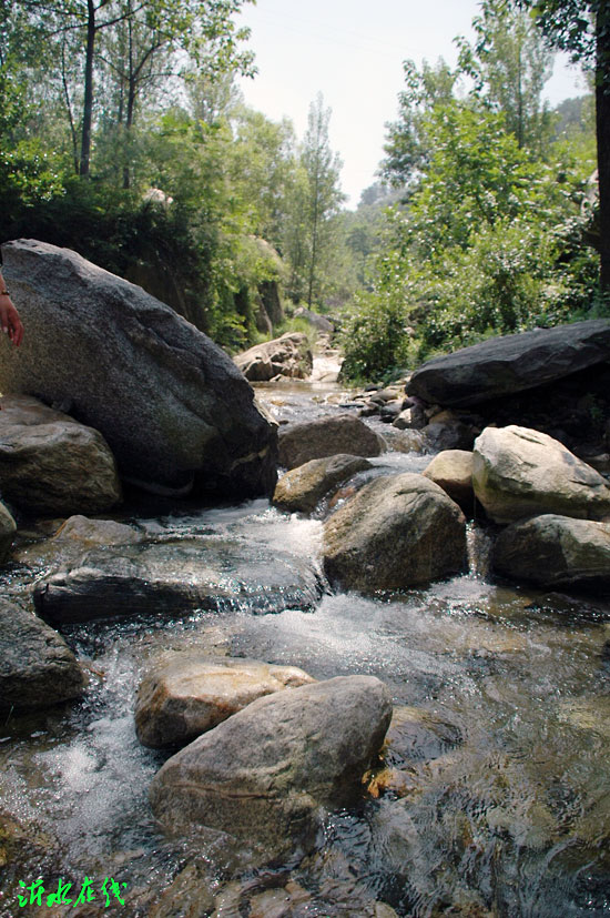20097228465997.jpg
