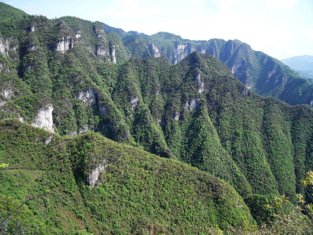 秋游仙谷山_摄影天地_湄潭论坛