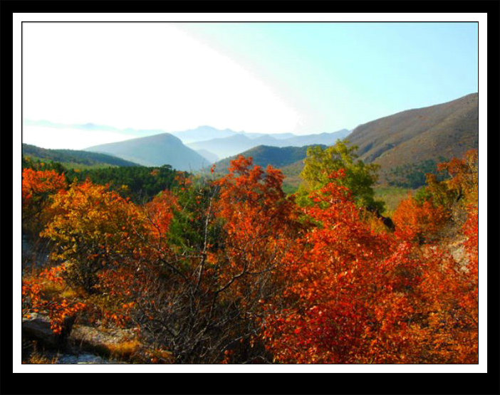 主题 秋色金花山(2007)