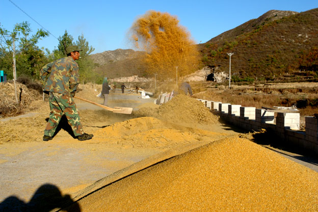 见证小米整个生产过程_百姓生活_建平论坛_建