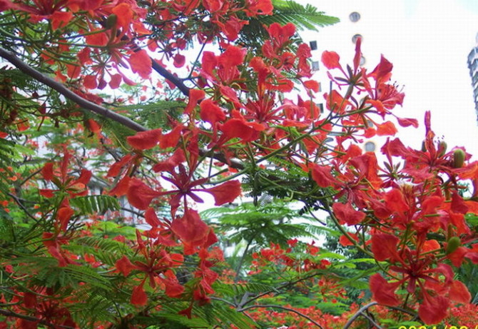 2010102414453336.jpg
