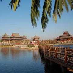 洪洞大槐树