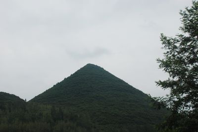 金银山国家森林公园发现一座山型酷似"金字塔"的"金子山"