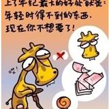 世上最经典语录