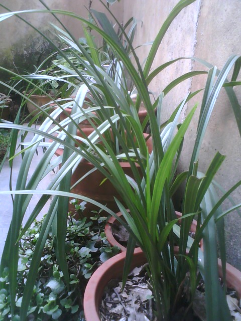 201011415083854.jpg