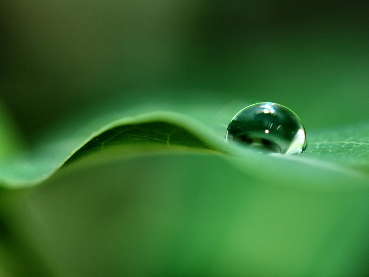 超高清美景图!_风光摄影_来凤论坛