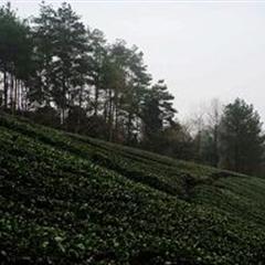 摄影采风归来
