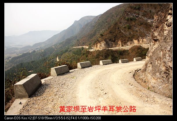 [原创]黄家坝至岩坪一一羊耳坡村致富路_摄影天地_湄潭论坛