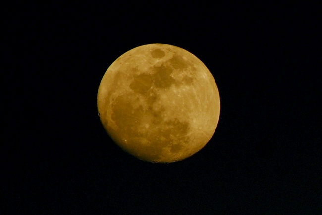 201032920253091.jpg