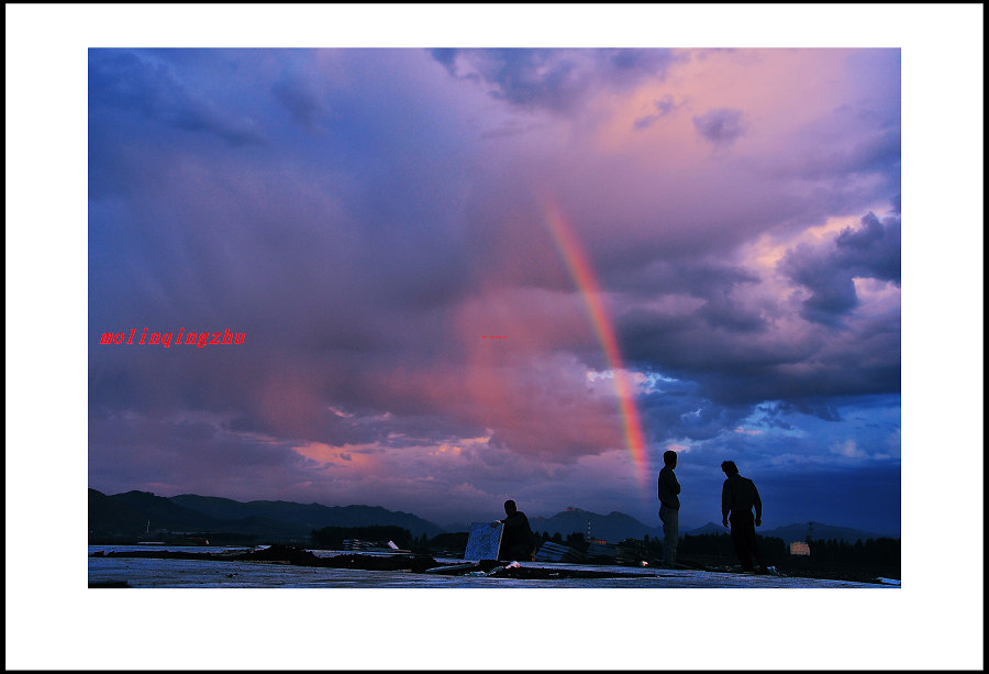 风雨后的彩虹_影协会员交流区