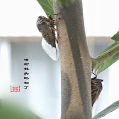 ֪�˶����ˣ���������ˣ�