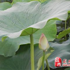 �书�ĺɻ����ˣ�