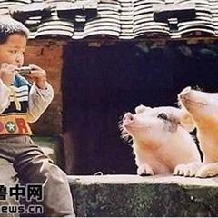����!��һ��ͼ�������㶯��