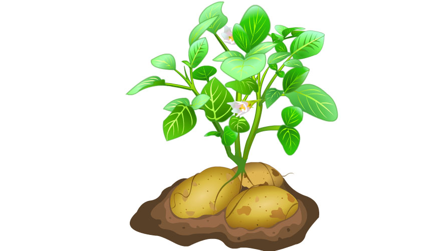 【<em>qq农场</em>作物大全 140种作物图鉴】喜欢偷菜