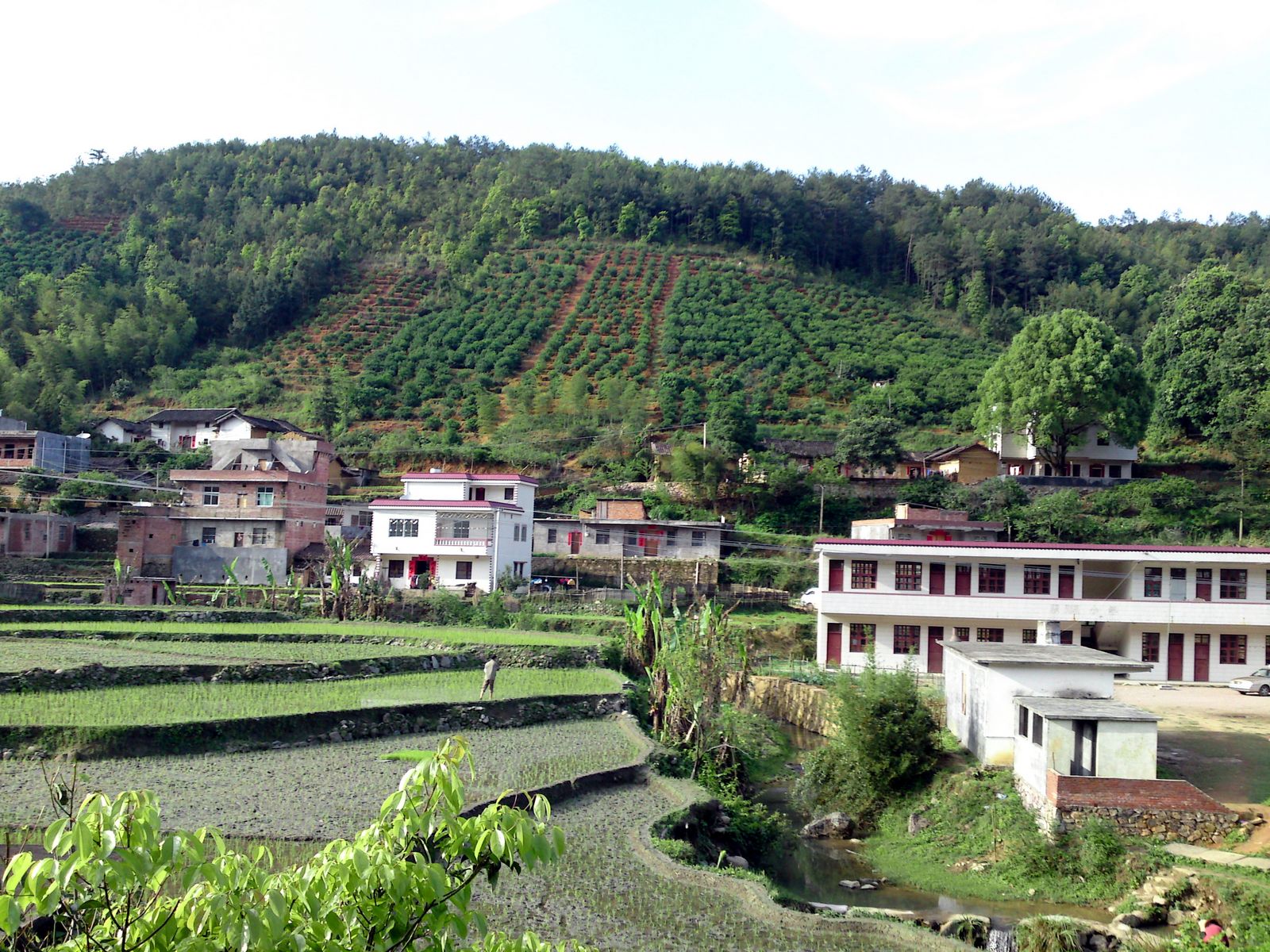 寻乌丹溪乡双溪村风景