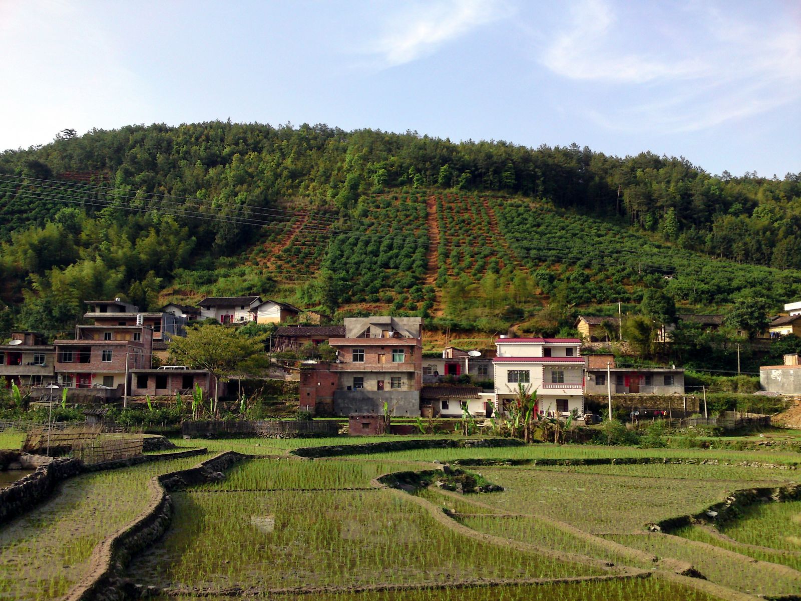 寻乌丹溪乡双溪村风景