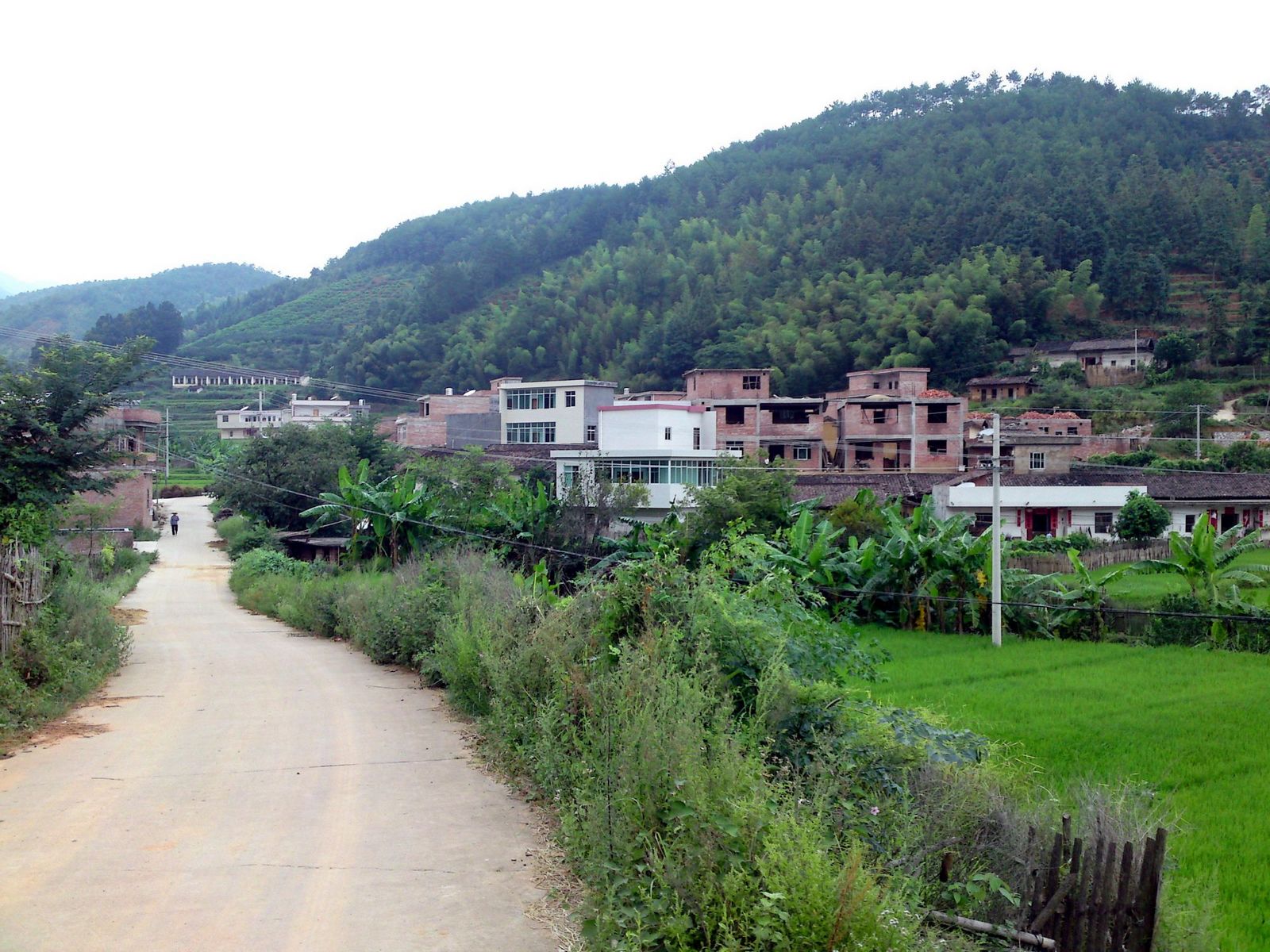 寻乌丹溪乡双溪村风景